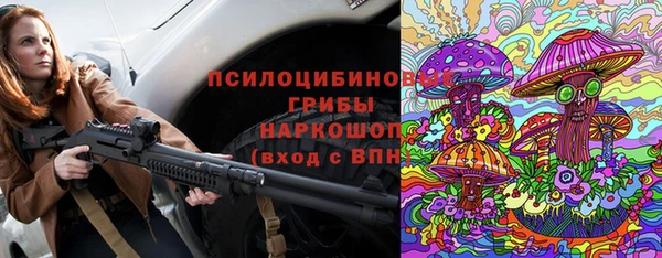 spice Верея