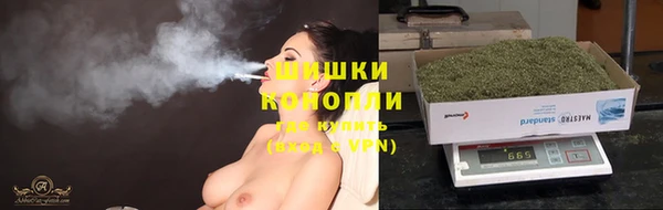 spice Верея