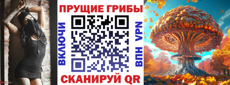 Галлюциногенные грибы Cubensis  Купить закладки  Мариинский Посад 