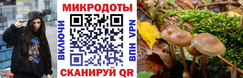 Галлюциногенные грибы мицелий Мариинский Посад